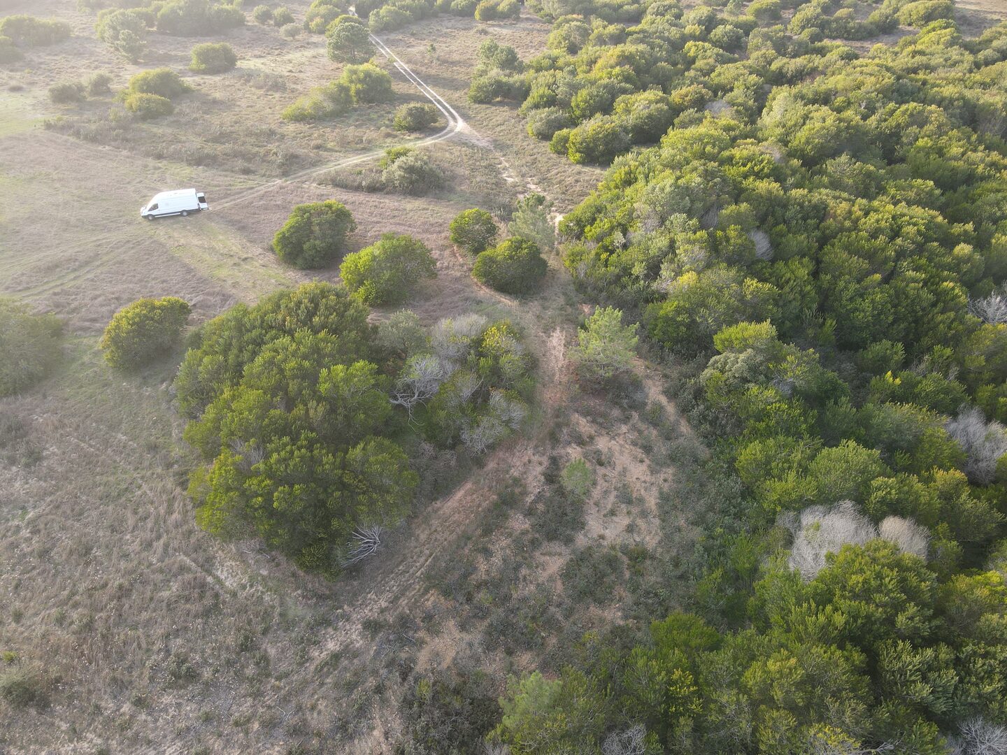 After — Vision of restored ecosystem